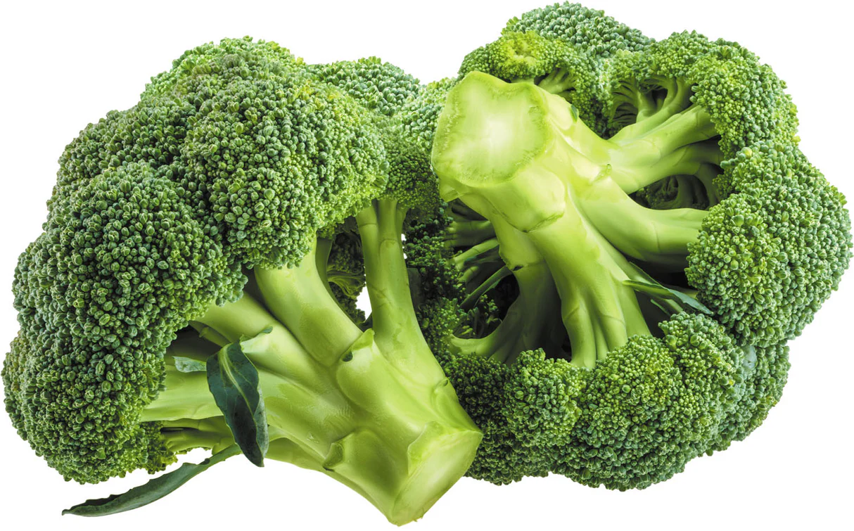 Organic Broccoli – Fresh Premium Vegetables