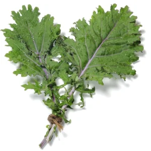 Fresh Organic Baby Spinach – Premium Farm Harvest