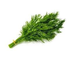Organic Dill Leaves 50g