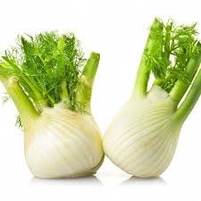 Organic Fennel Bulb 1