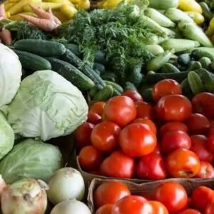 Fresh Vegetables