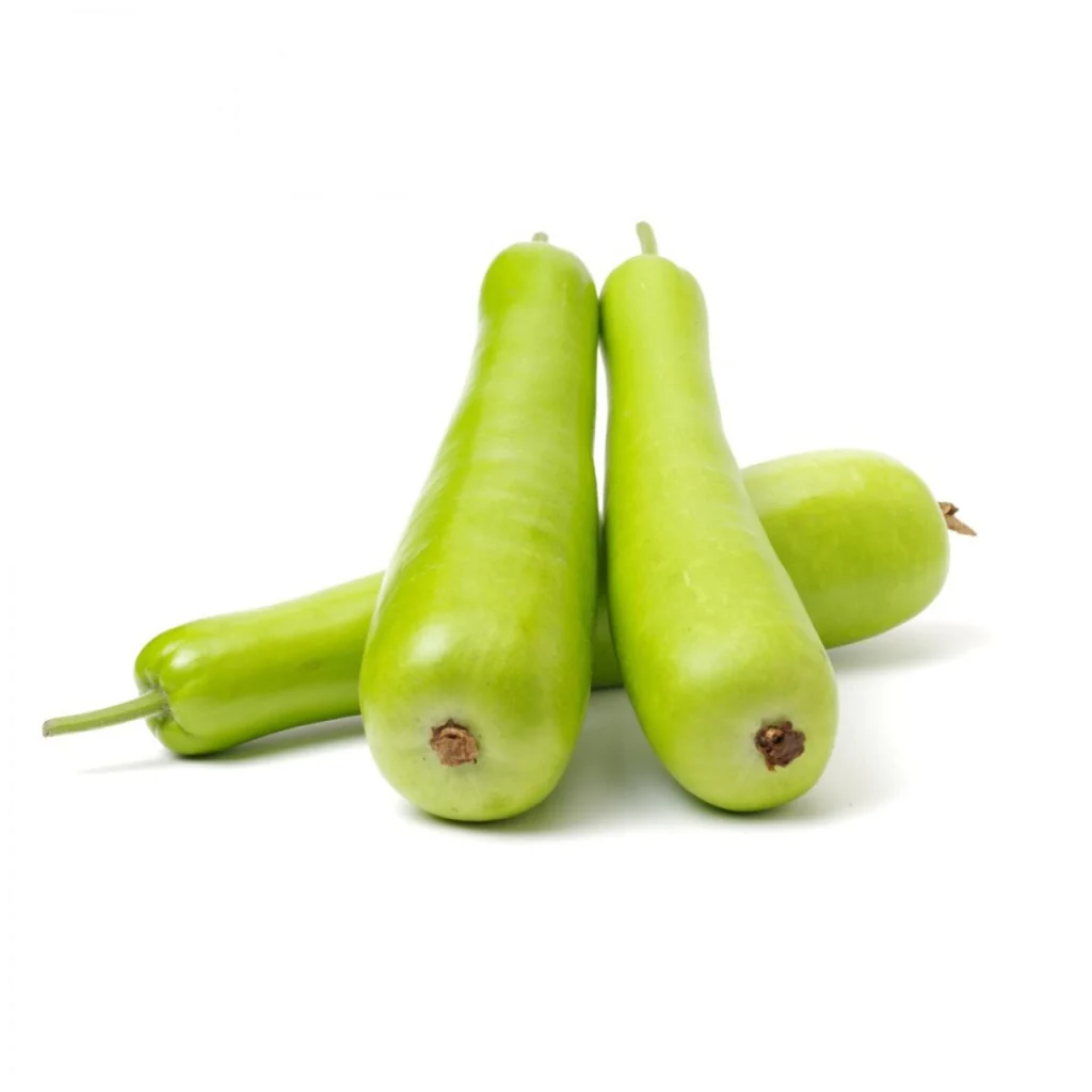 Fresh Bottle Gourd – Incredible Health Benefits & Urdu Meaning