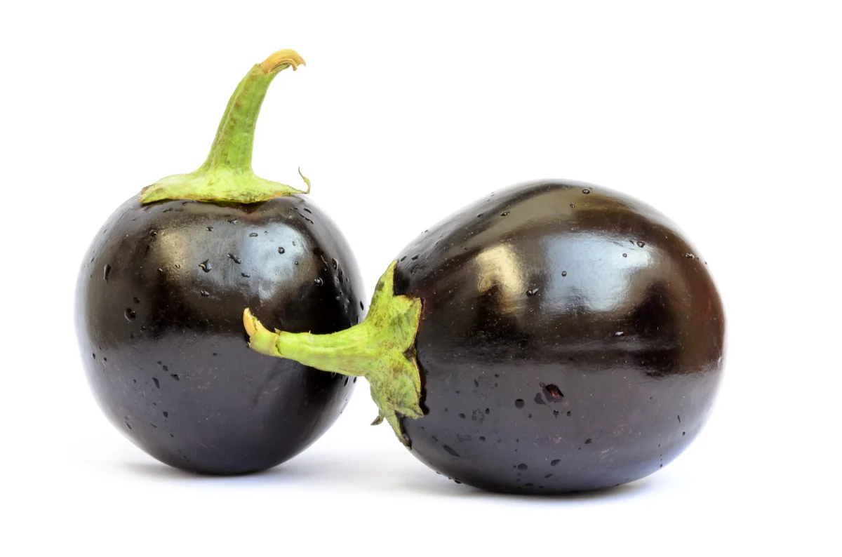 eggplant benefits eggplant meaning in urdu baingan brinjal