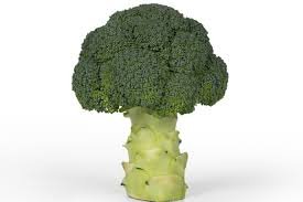 Imported Broccoli - Image 3