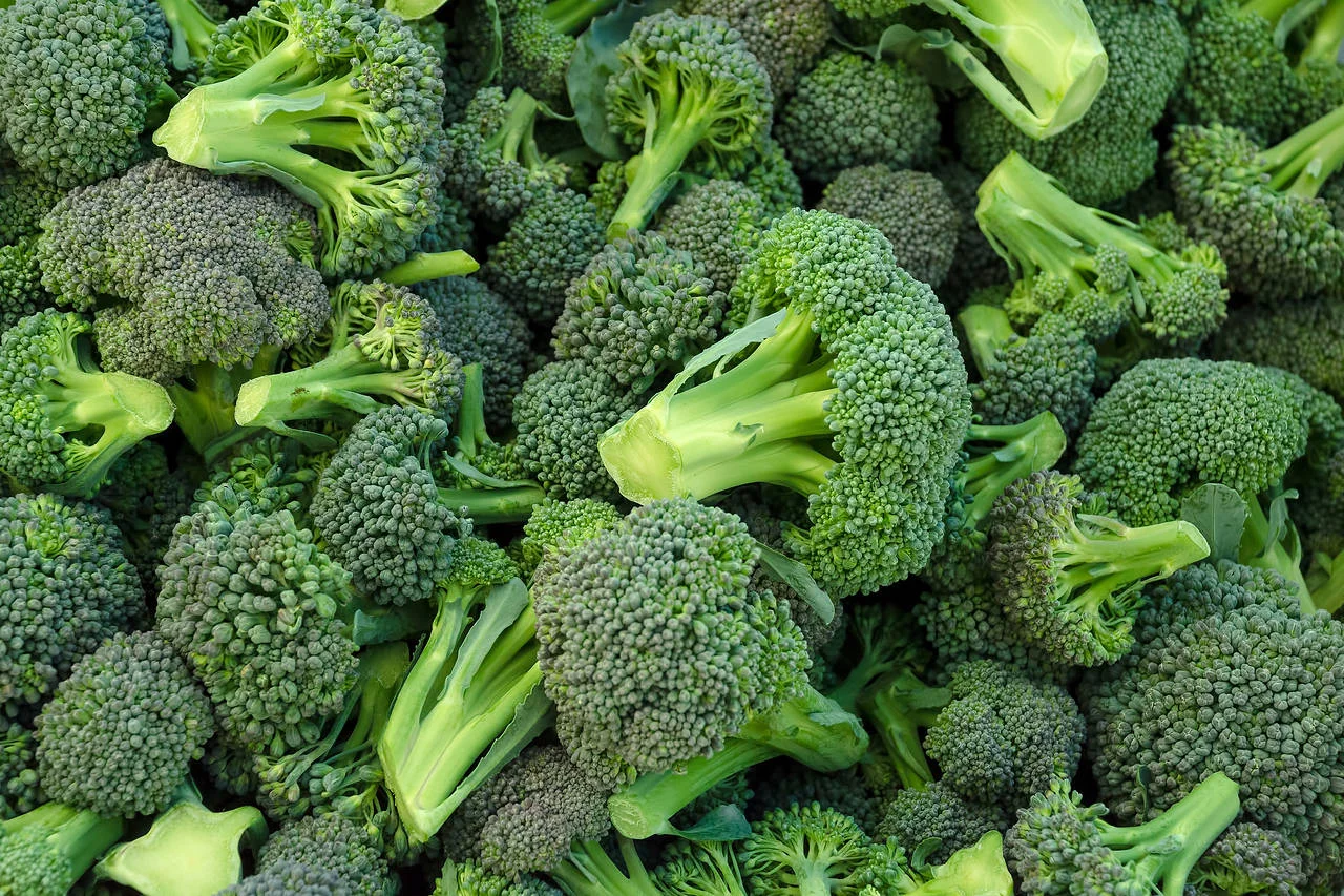 Imported Broccoli - Image 4